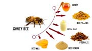 Bee Products / মৌমাছি পণ্য সমুহ